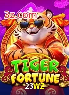 23WZ